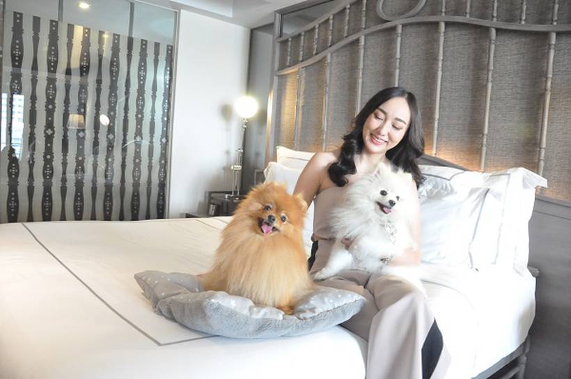 Pets on-the-go Riva Surya Bangkok Hotel